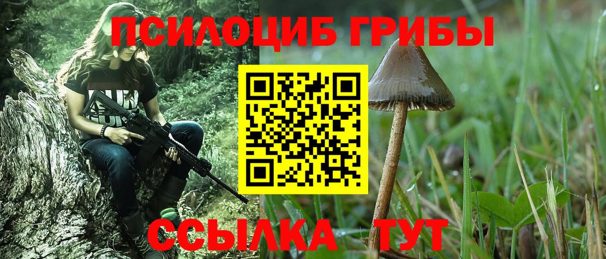 Альметьевск  Псилоцибиновые грибы Magic Shrooms  Вход с VPN 