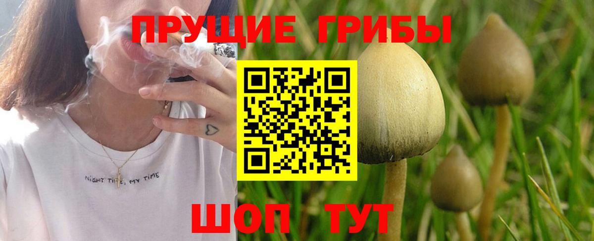 Псилоцибиновые грибы мухоморы Альметьевск